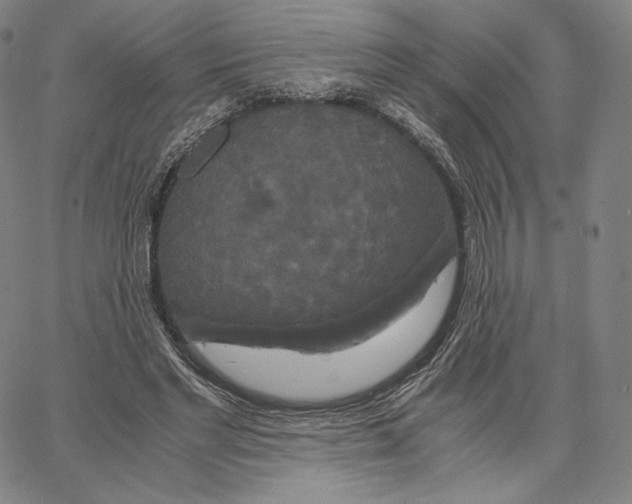 X0000062620493200601181658