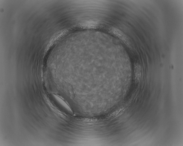 X0000062620494200601181658