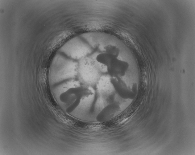 X0000062620495200601181658