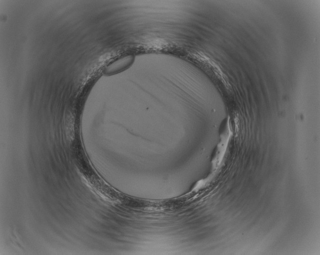 X0000062620496200601181658