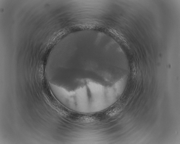 X0000062620498200601181658