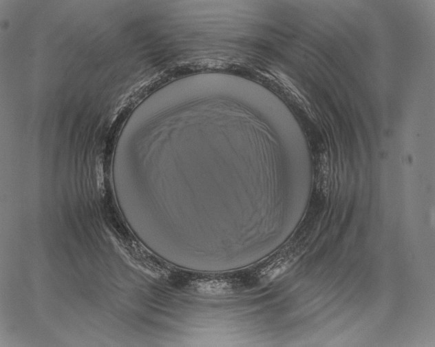 X0000062620500200601181658