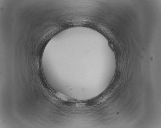 X0000062620501200601181658