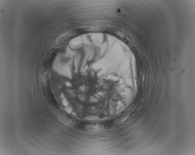 X0000062620503200601181658