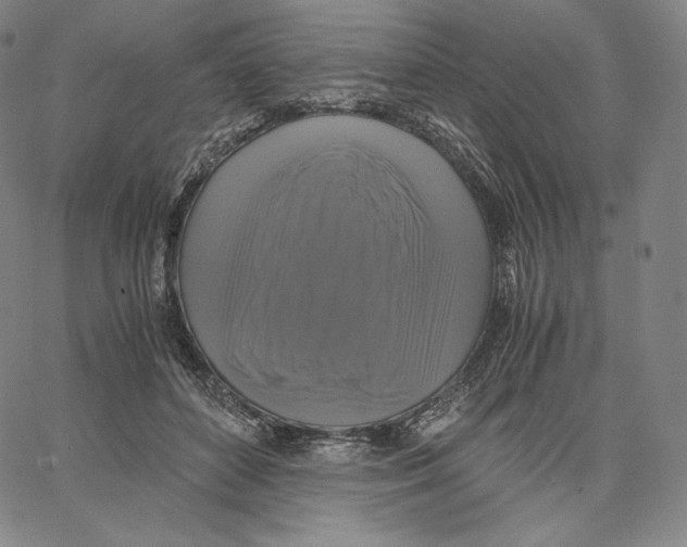 X0000062620504200601181658