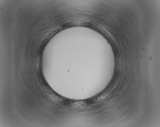 X0000062620505200601181658