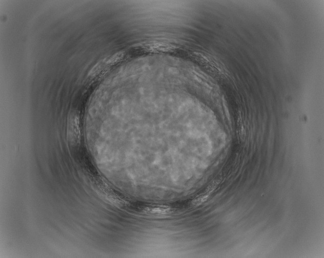 X0000062620506200601181658