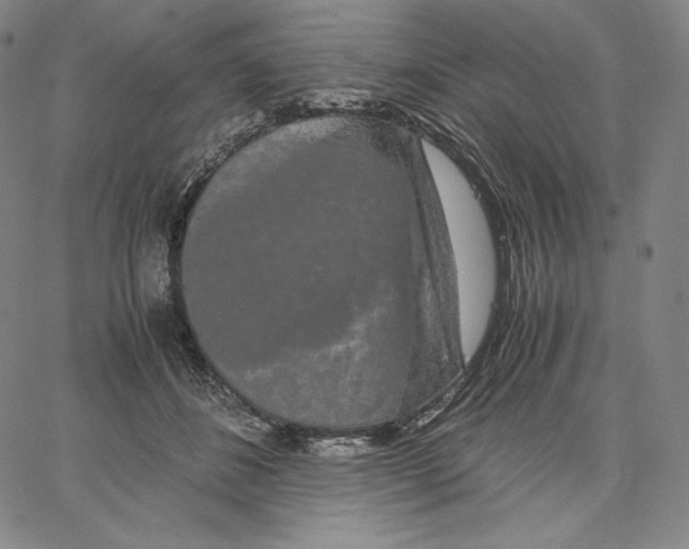 X0000062620508200601181658