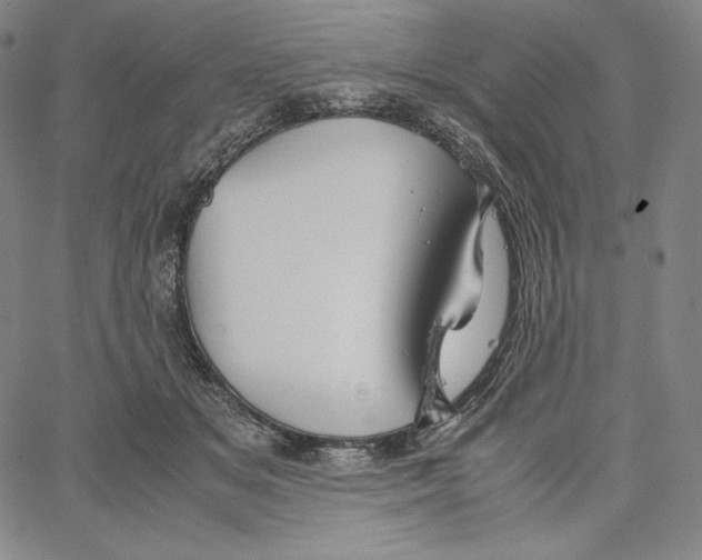 X0000062620509200601181658