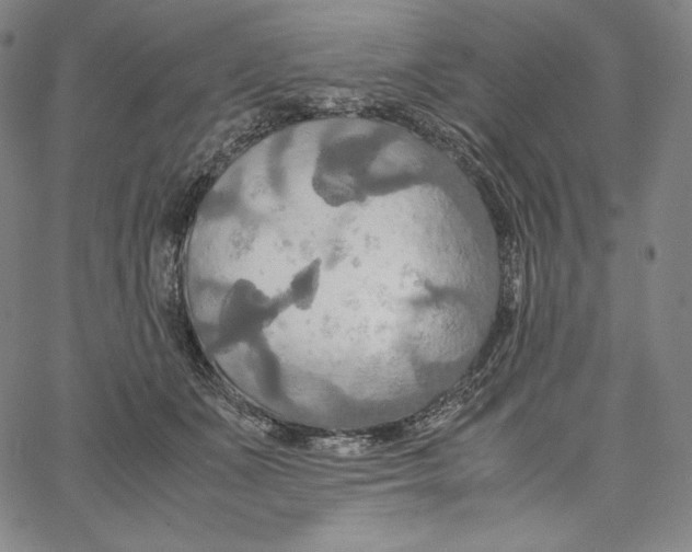 X0000062620511200601181658