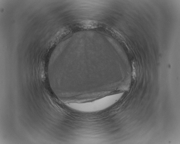 X0000062620512200601181658