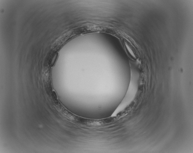 X0000062620513200601181658