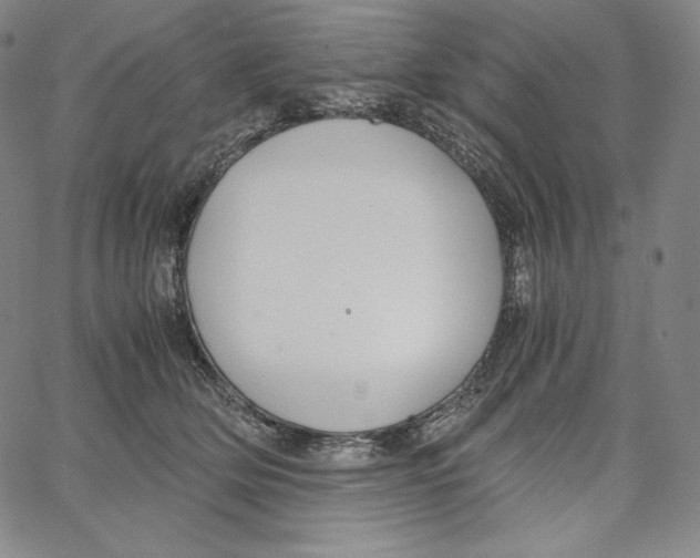 X0000062620514200601181658