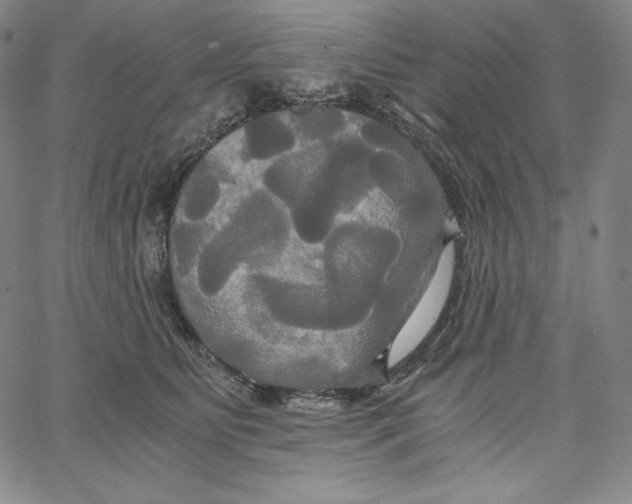 X0000062620515200601181658