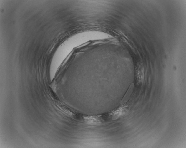 X0000062620516200601181658