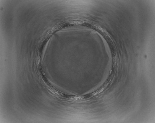 X0000062620517200601181658