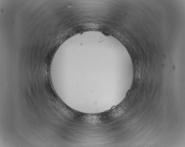 X0000062620518200601181658