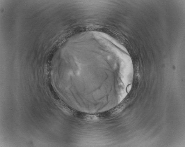 X0000062620519200601181658