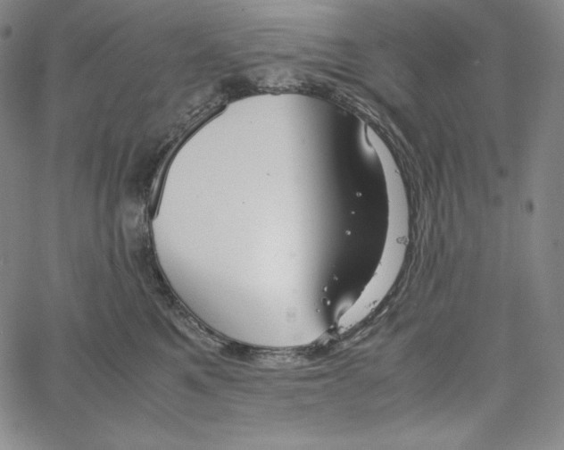 X0000062620521200601181658