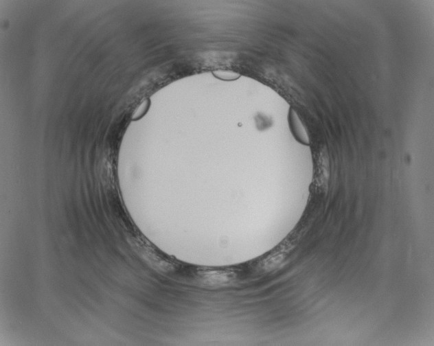 X0000062620522200601181658