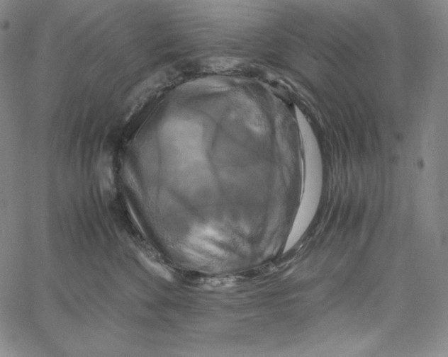 X0000062620524200601181658