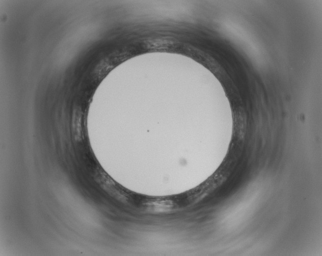 X0000062620525200601181658