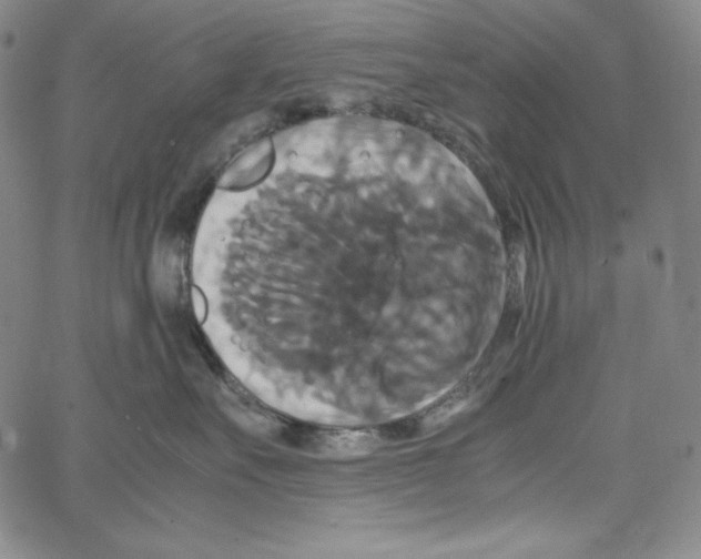 X0000062620527200601181657