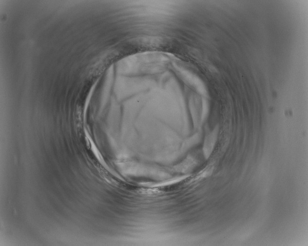 X0000062620528200601181657