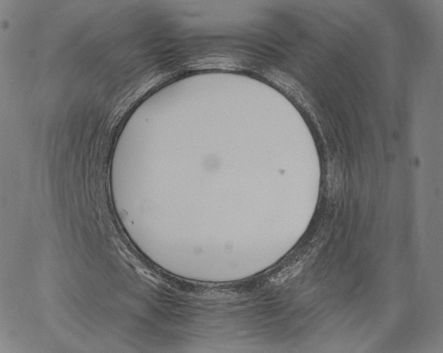 X0000062620529200601181657