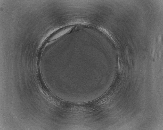 X0000062620531200601181657