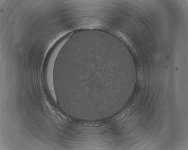 X0000062620532200601181657