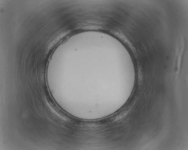 X0000062620533200601181657