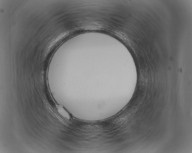 X0000062620535200601181657