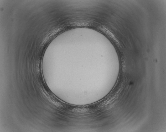 X0000062620537200601181657