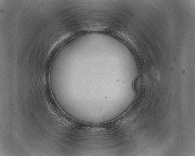 X0000062620539200601181657