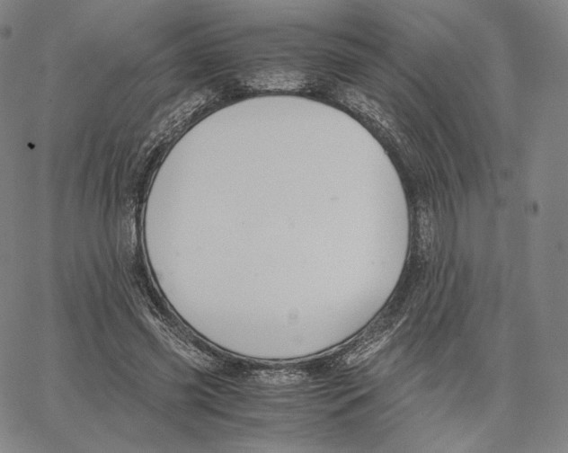 X0000062620541200601181657