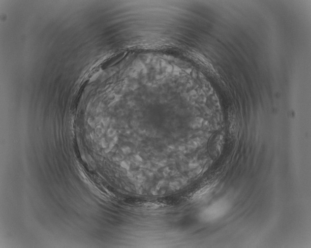 X0000062620542200601181657