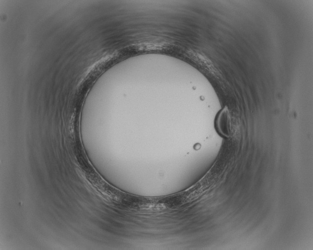 X0000062620543200601181657