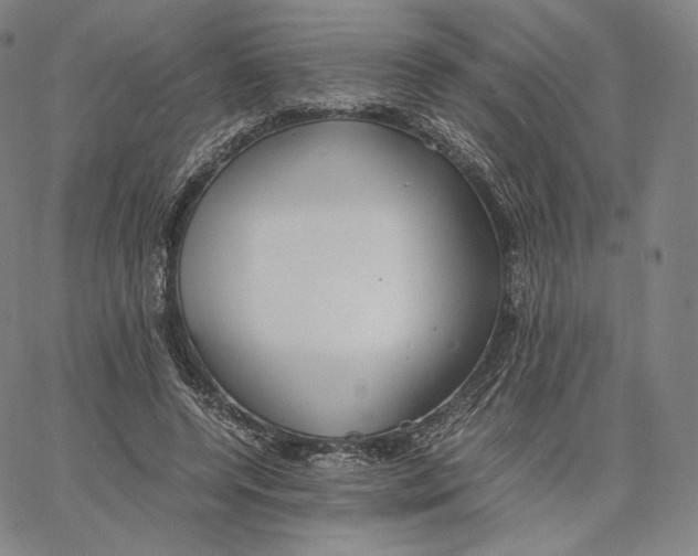 X0000062620544200601181657