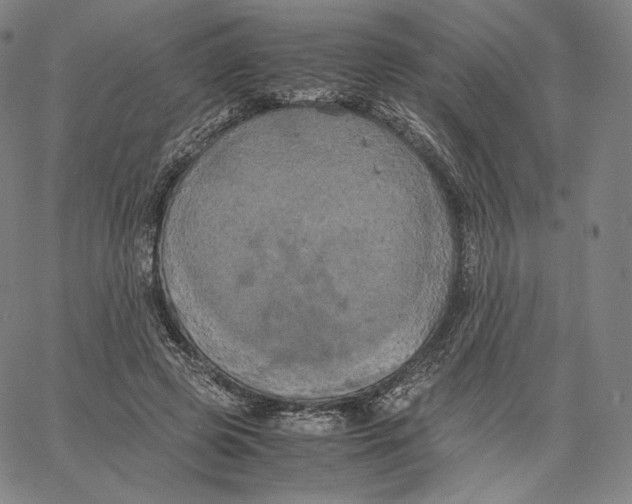 X0000062620545200601181657