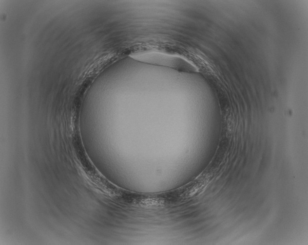 X0000062620546200601181657