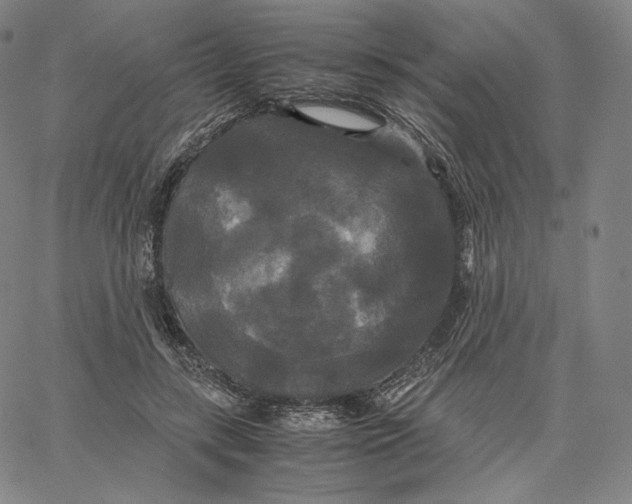 X0000062620547200601181657