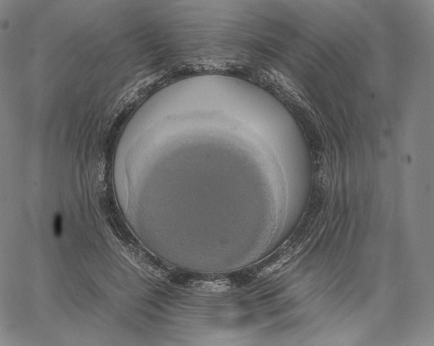 X0000062620548200601181657