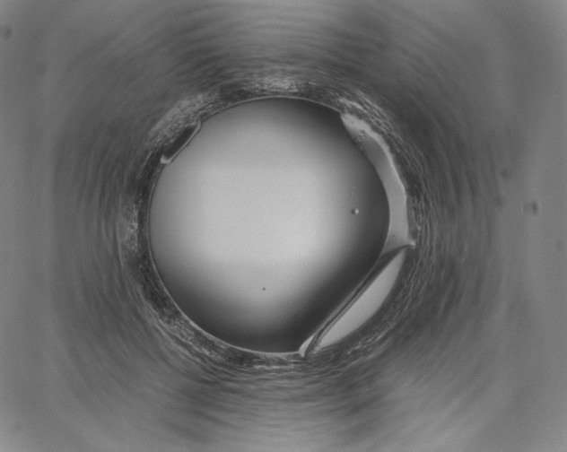 X0000062620552200601181657