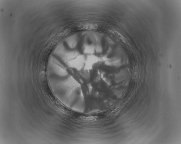 X0000062620553200601181657