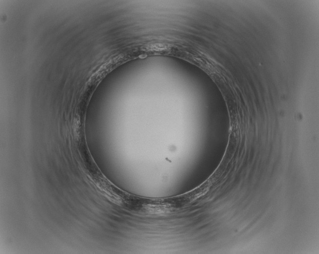 X0000062620556200601181657