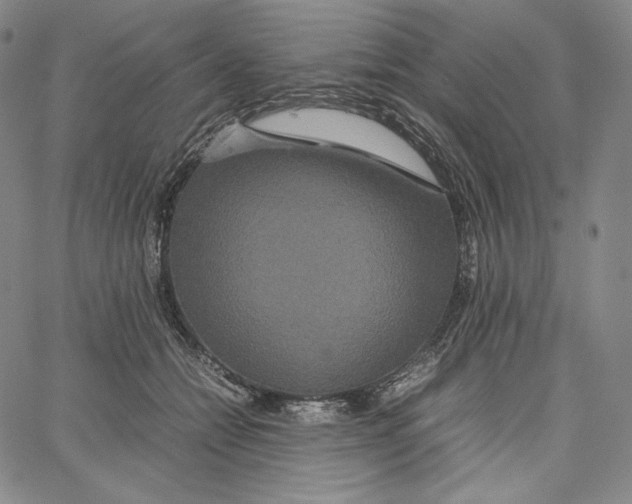 X0000062620558200601181657