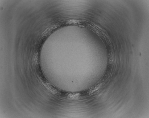 X0000062620560200601181657