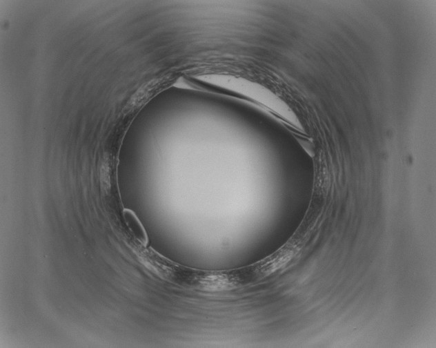 X0000062620562200601181657