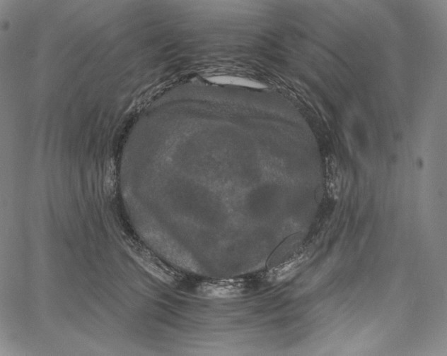 X0000062620563200601181657